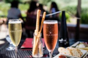 长沙看世界杯夜宵，夜市狂欢与球迷情结长沙看世界杯夜宵